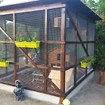 Гостевой дом Fischerhaus 3*