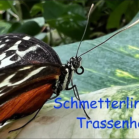 Fischerhaus Affittacamere Trassenheide