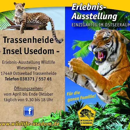 Affittacamere Fischerhaus 3*