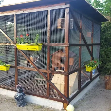 Pensjonat Fischerhaus 3*