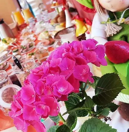 Fischerhaus Pensjonat